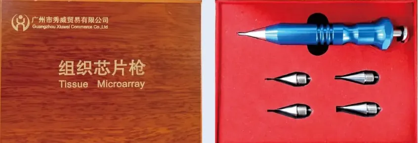 news-19 Nachrichten-19