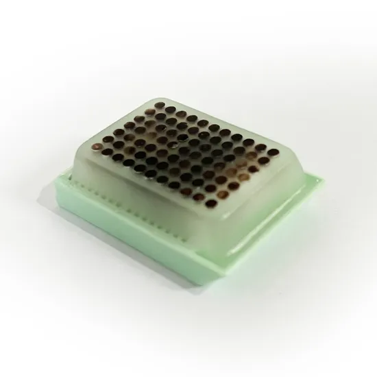 Einweg -medizinische Versorgung Gewebe Microarray Block für wissenschaftliche Forschungsmaterialuntersuchungen verwendet