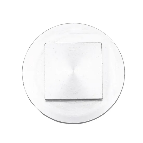 Kryostat-Probenscheibe