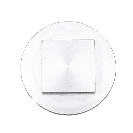 Kryostat-Probenscheibe