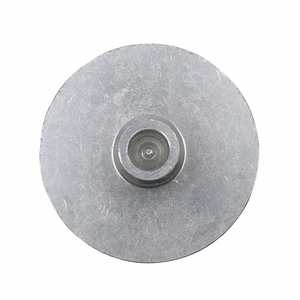 Kryostat-Probenscheibe