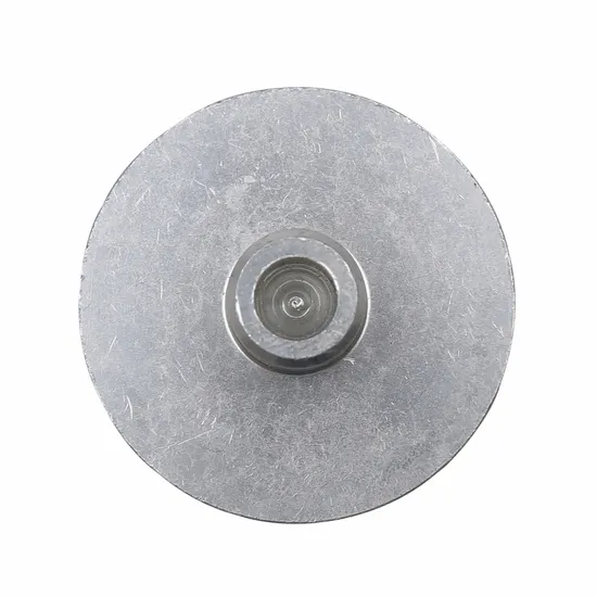 Kryostat-Probenscheibe